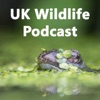 UK Wildlife Podcast artwork