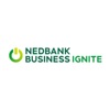 Nedbank Business Ignite 2022 artwork