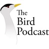 Bird Podcast with Shoba Narayan artwork