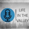 Life in the Valley artwork