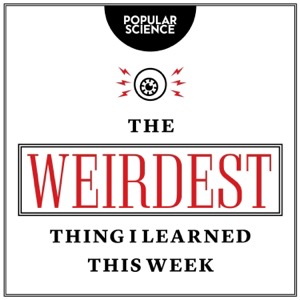 The Weirdest Thing I Learned This Week