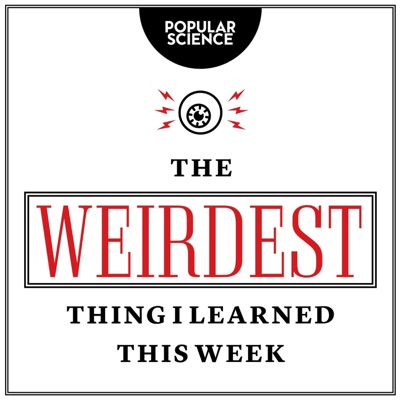 The Weirdest Thing I Learned This Week The Weirdest Thing I Learned This Week