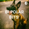 BI POLAR BITS  artwork