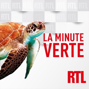Climat : la Méditerranée surchauffe, 500 millions de personnes menacées