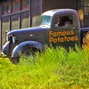 Famous Potatoes artwork