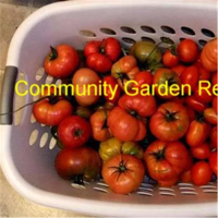 Community Garden Revolution podcast