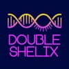 Double Shelix artwork