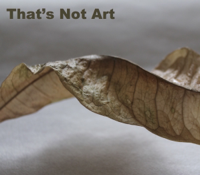 Episode 10 : Series of Shorts: Howard Hodgkin