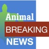 Animal Breaking News artwork