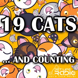 19 Cats and Counting Episode 105 Dr. Kelly Cairns: Itchy Kitties