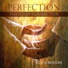 Perfection Through Correction SD Video artwork