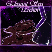 Elegant Sea Urchin podcast