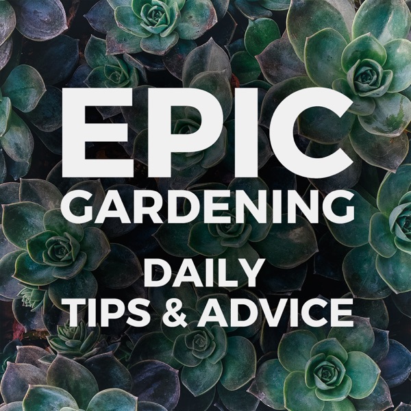 Epic Gardening: Daily Growing Tips and Advice Artwork