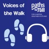 Voices of the Walk artwork
