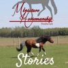 Miniature Horsemanship Stories artwork