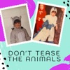 Don't Tease The Animals artwork