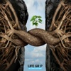 Life Grip - Transition into a cleaner lifestyle. I'll show you how. artwork