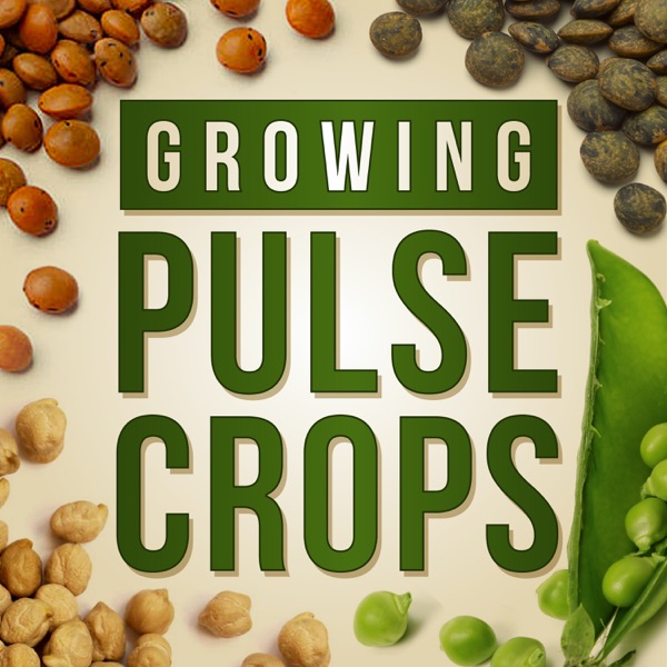 Growing Pulse Crops Artwork
