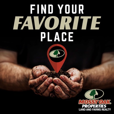 Find Your Favorite Place Find Your Favorite Place