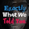 Exactly What We Told You artwork