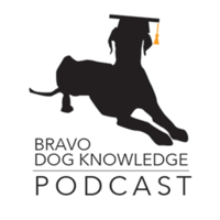 Bravo Dog Knowledge: Dog Training Podcast podcast