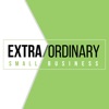 Extra/Ordinary Small Business artwork