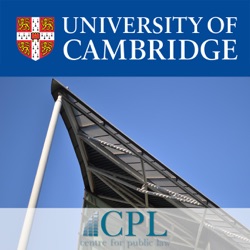 Hiebert ‘Parliamentary Bills of Rights: Do They Alter the Norms of Legislative Decision-Making?’ / Geiringer ‘Unity and Disunity in the Commonwealth Model of Human Rights Protection’