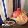 SBS Hebrew - אס בי אס בעברית artwork