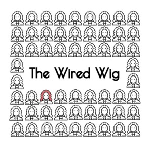 The Wired Wig | Law and Technology