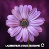 Liquid Drum and Bass Sessions - Fokuz Recordings
