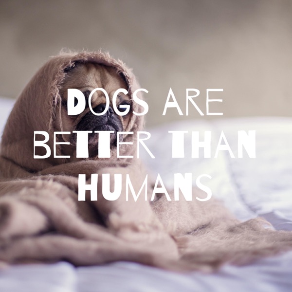Dogs are better than humans Artwork