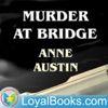 Murder at Bridge by Anne Austin artwork