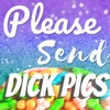 Please Send Dick Pics artwork