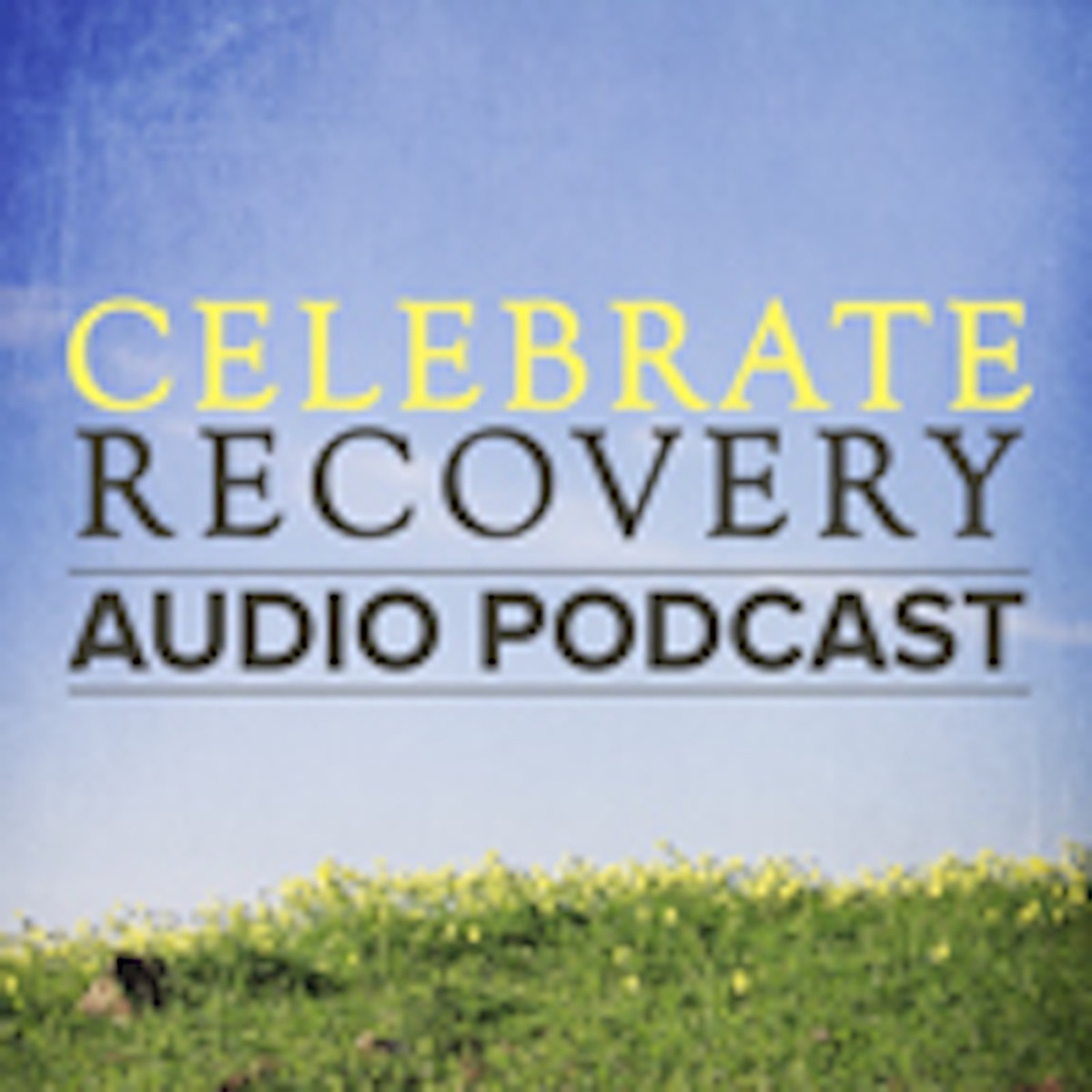 Scott Stubbert: Seven Reasons We Get Stuck – Celebrate Recovery Podcast ...