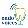 Endo Voices artwork