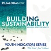 PilialohaNow I Building Sustainability artwork