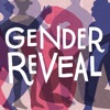 Gender Reveal artwork