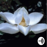 S.N.D podcast