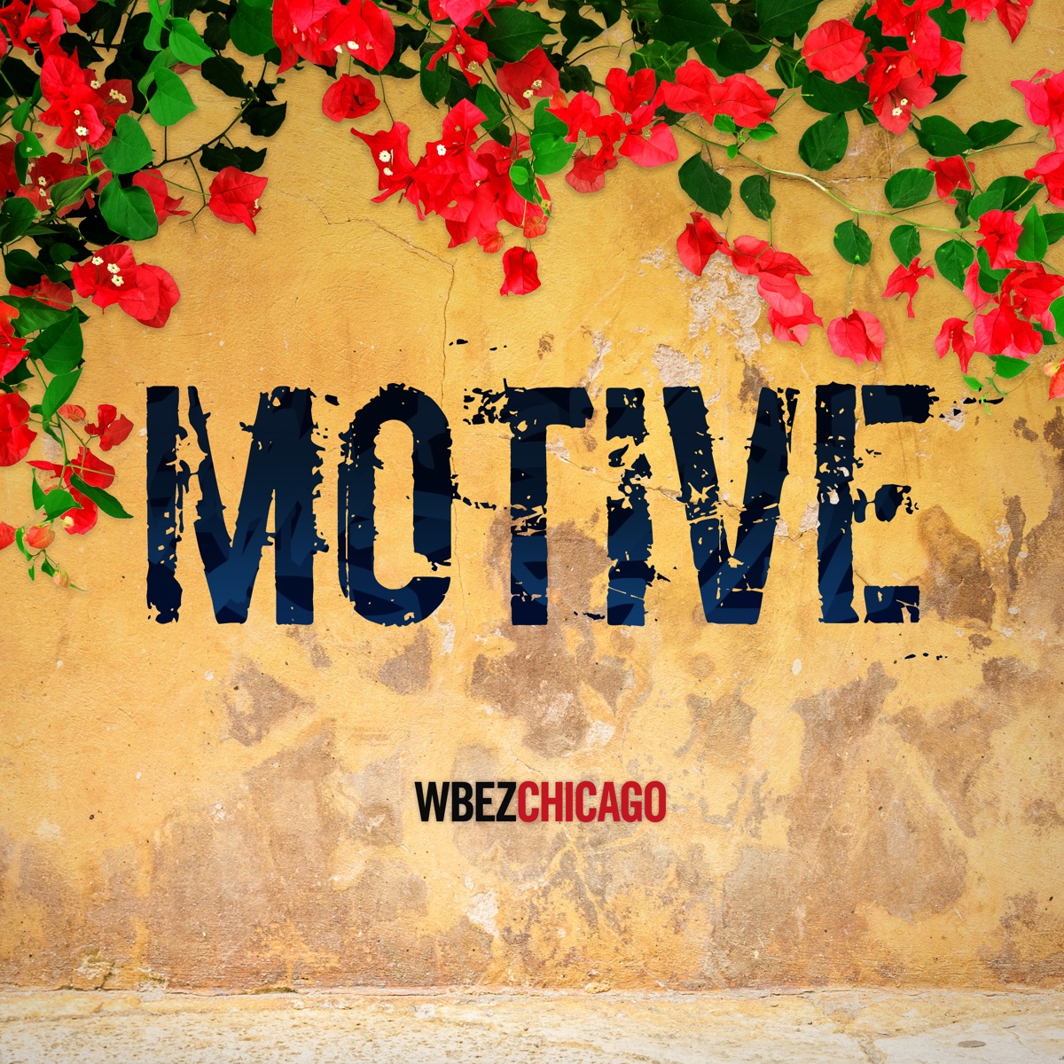 Motive. The Motive of Eleven 7.