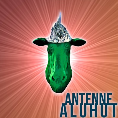 Antenne Aluhut Antenne Aluhut