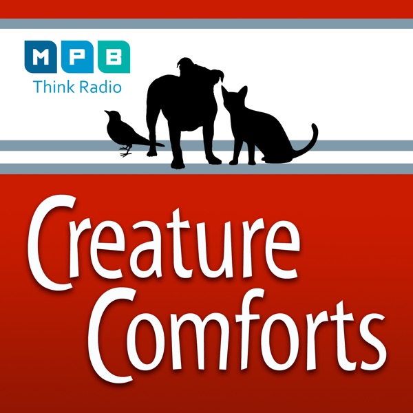Turtle Power Creature Comforts Podcast Podtail