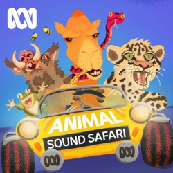 INTRODUCING — Animal Sound Safari