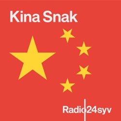 Fra Xinjiangs lejre til fabrikker, det svenske eksperiment og Kina i ti ord