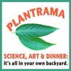 Plantrama - plants, landscapes, & bringing nature indoors artwork