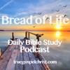 Daily Bible Study Podcast artwork
