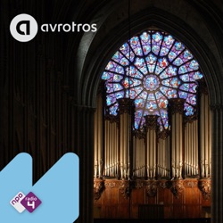 Orgels van de Notre-Dame