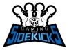 Gaming With Sidekicks Podcast artwork