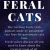 Feral Cats-Geelong artwork