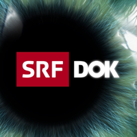 DOK podcast