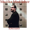 Mużika Mod Ieħor ma' Toni Sant artwork